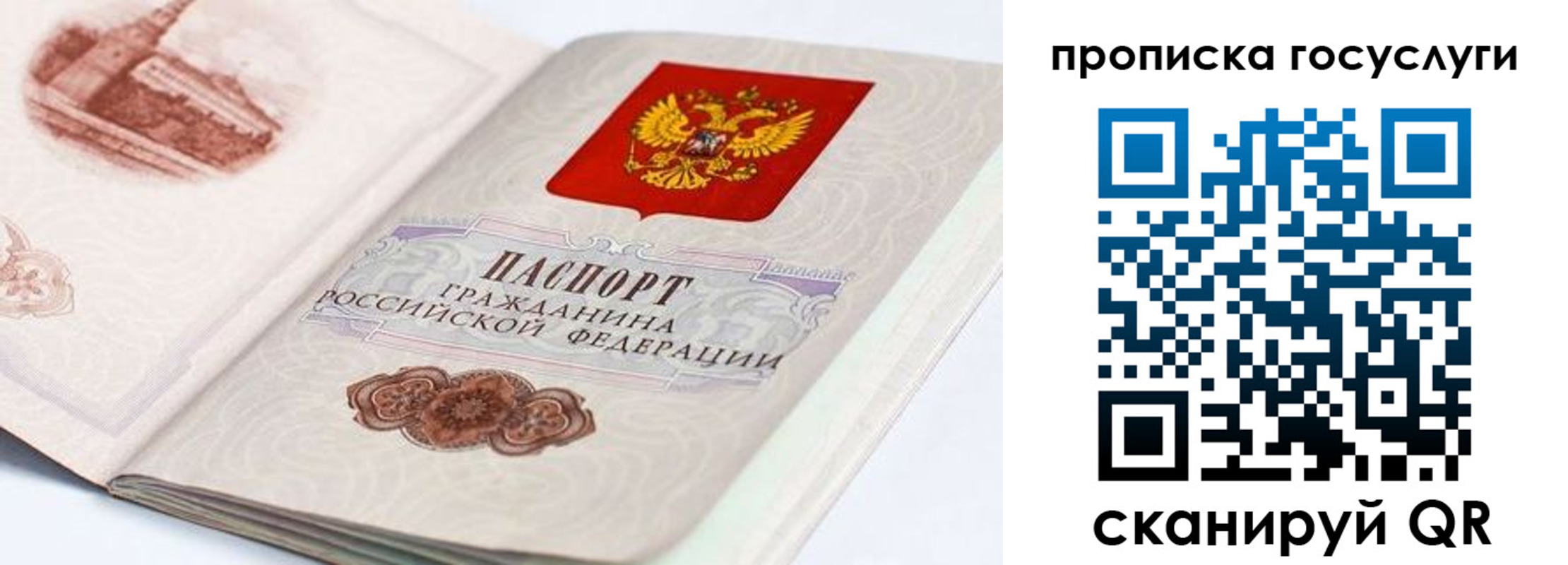 прописка гарантия в Нерчинске